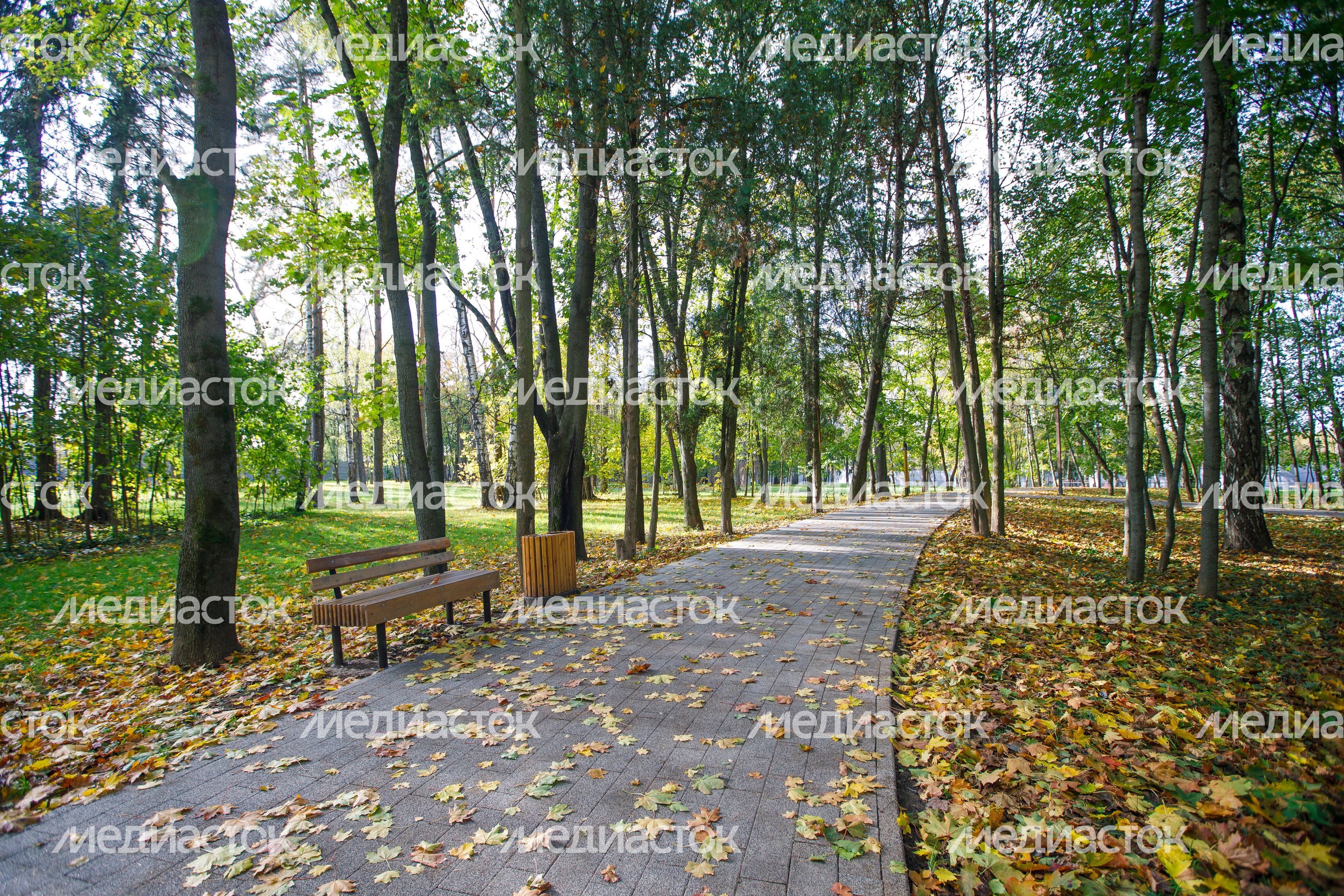 Краснознаменск. Парк «Беличий» Краснознаменск. Парк «Беличий»