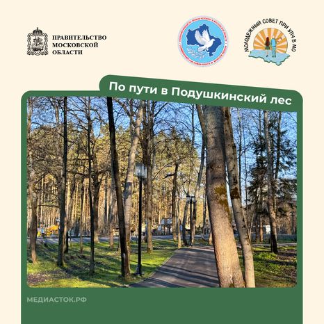 Путешествие по МО Одинцово квадрат 04