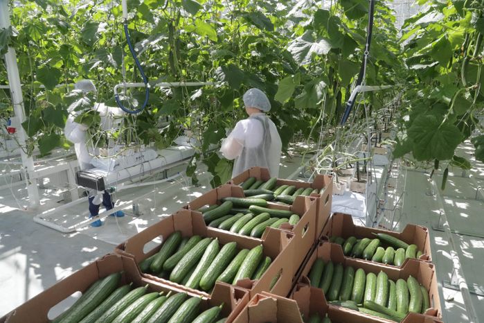 Рабочий визит Андрея Воробьева в Электросталь, 06.06.2018 