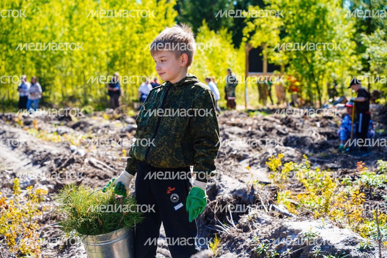 Настроение "Лес Будущего"-2024