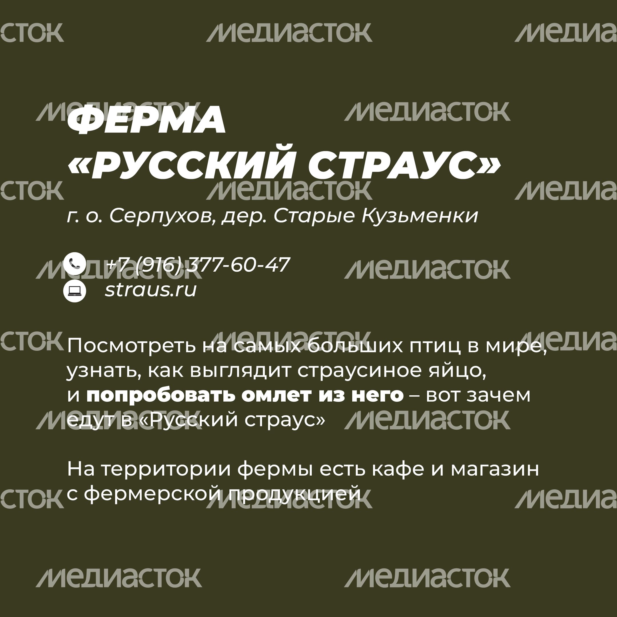 Фермы с животными-29.jpg