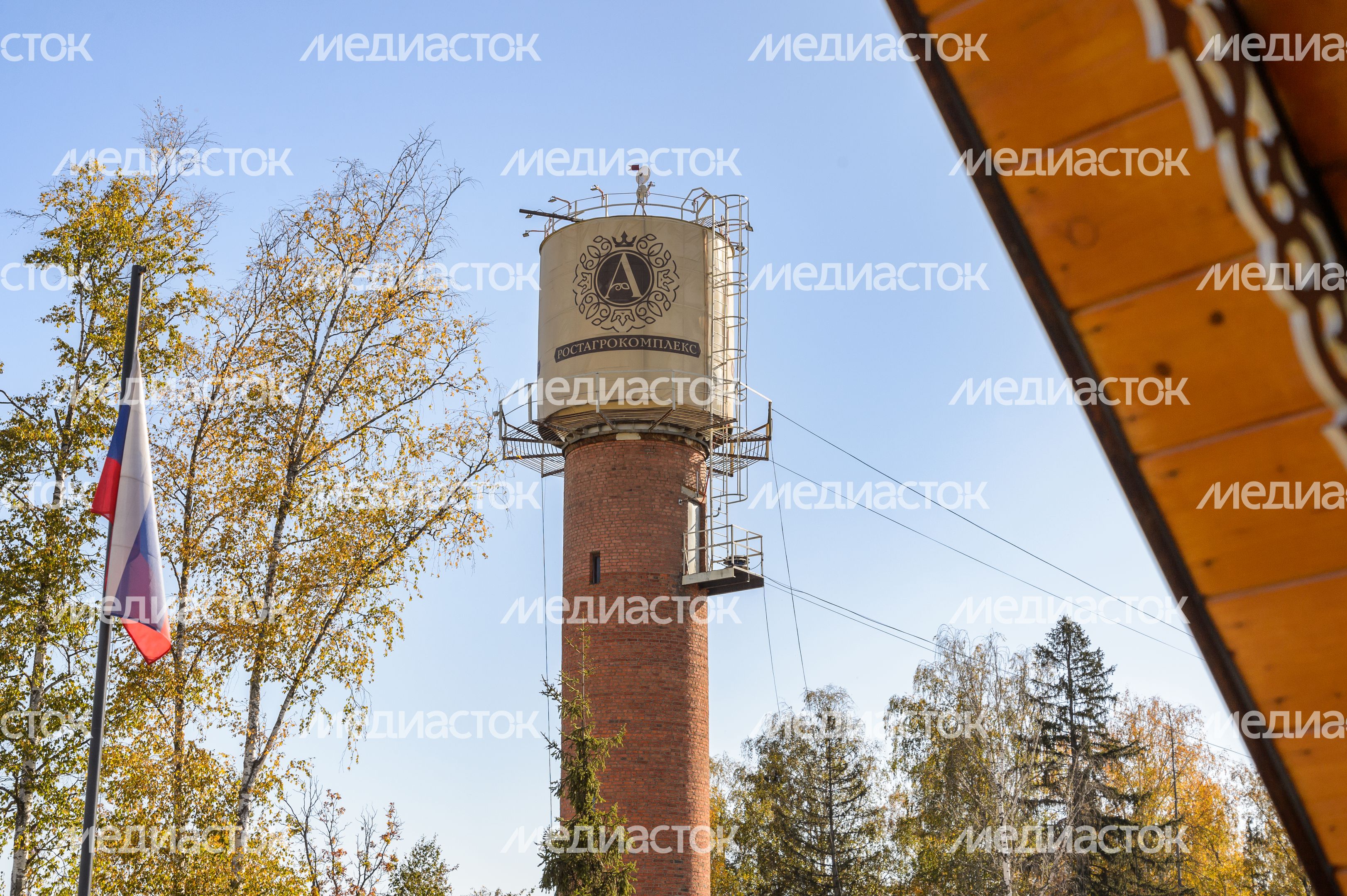 Пушкино. Музей истории молока и глазированного сырка