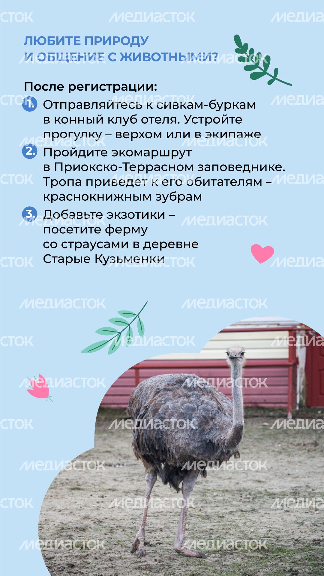 Петрухино-клуб-вертикаль-04