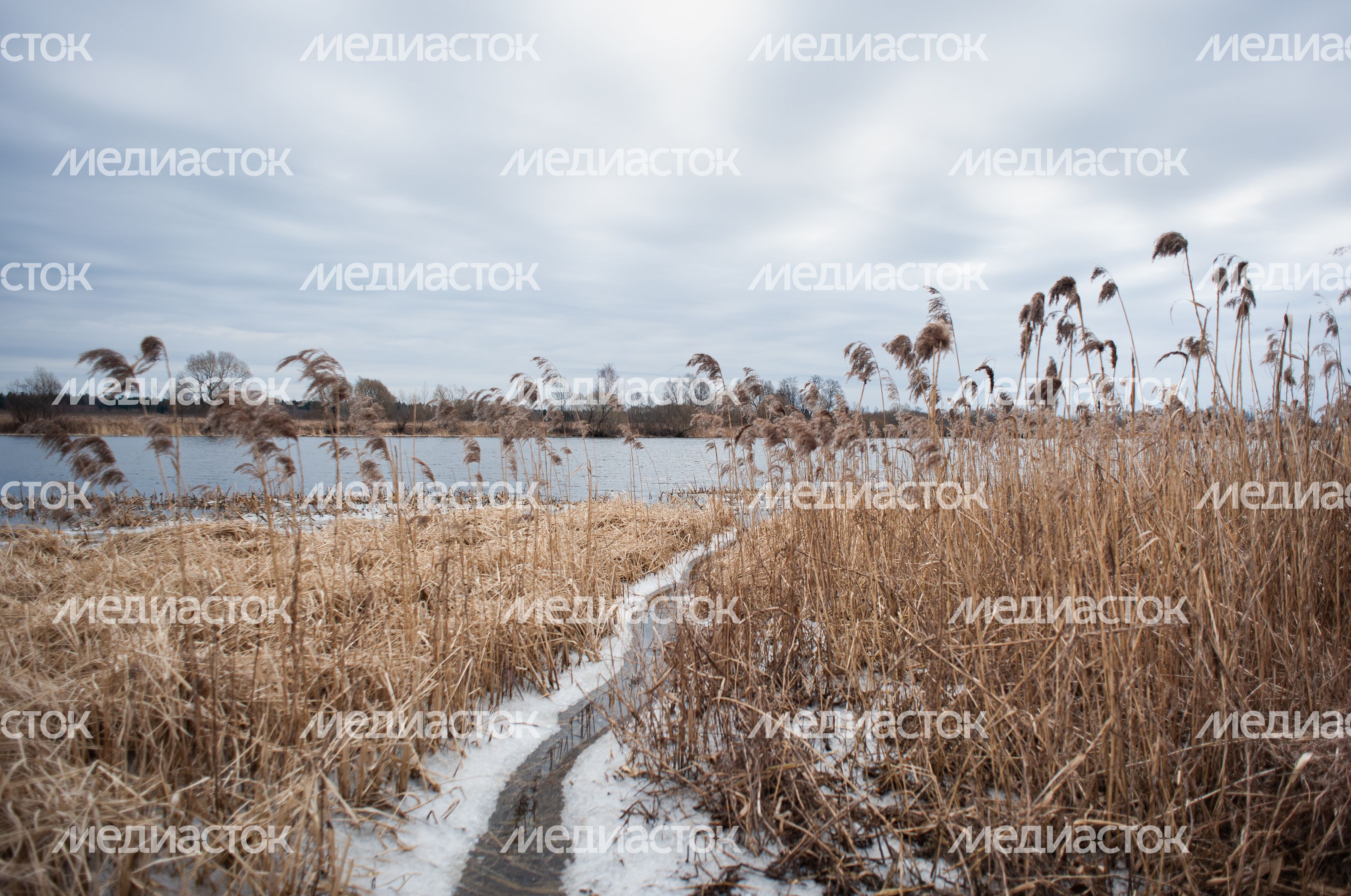Весенние виды города Дубна