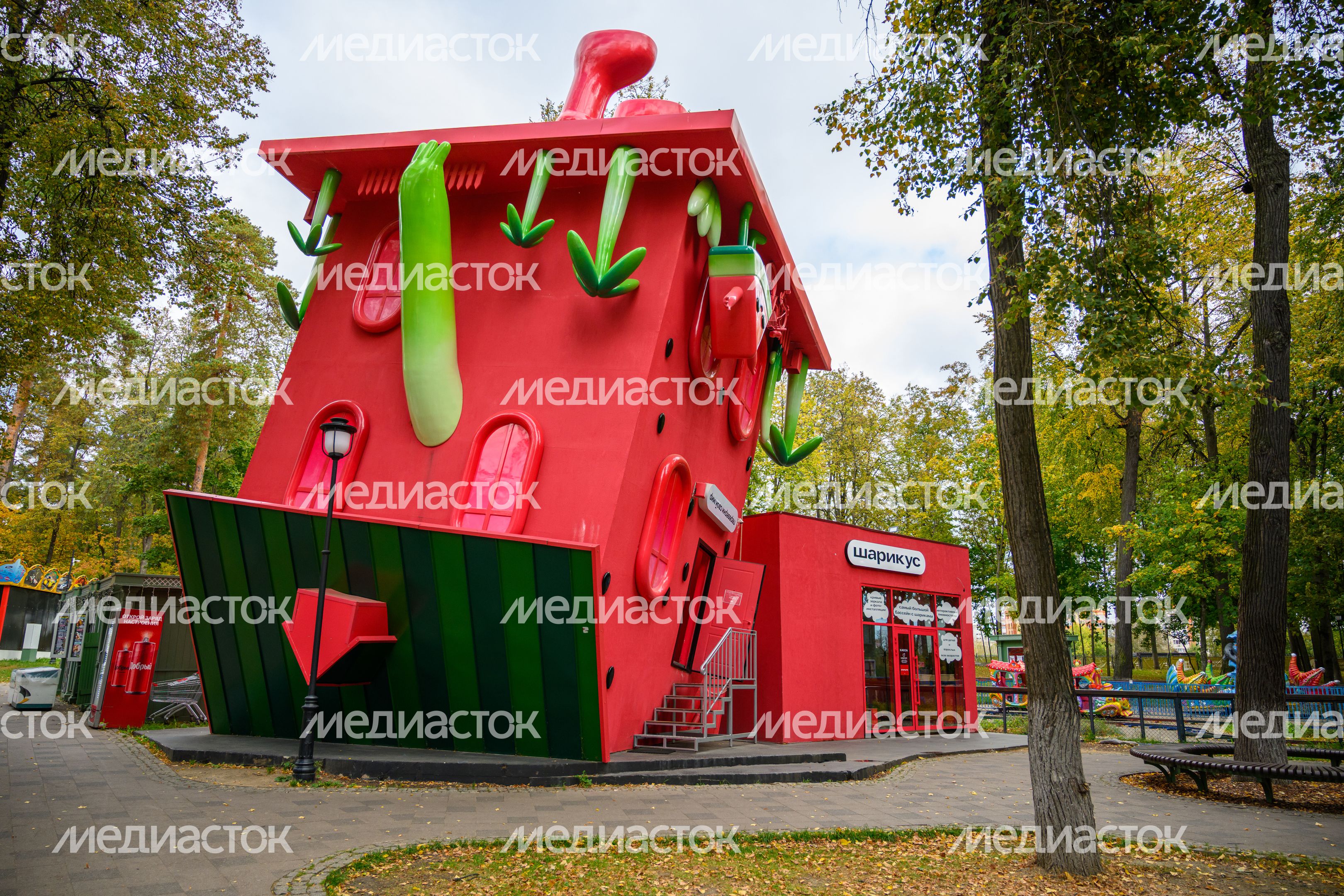 Раменский городской парк культуры и отдыха. Осень Раменский городской парк культуры и отдыха. Осень