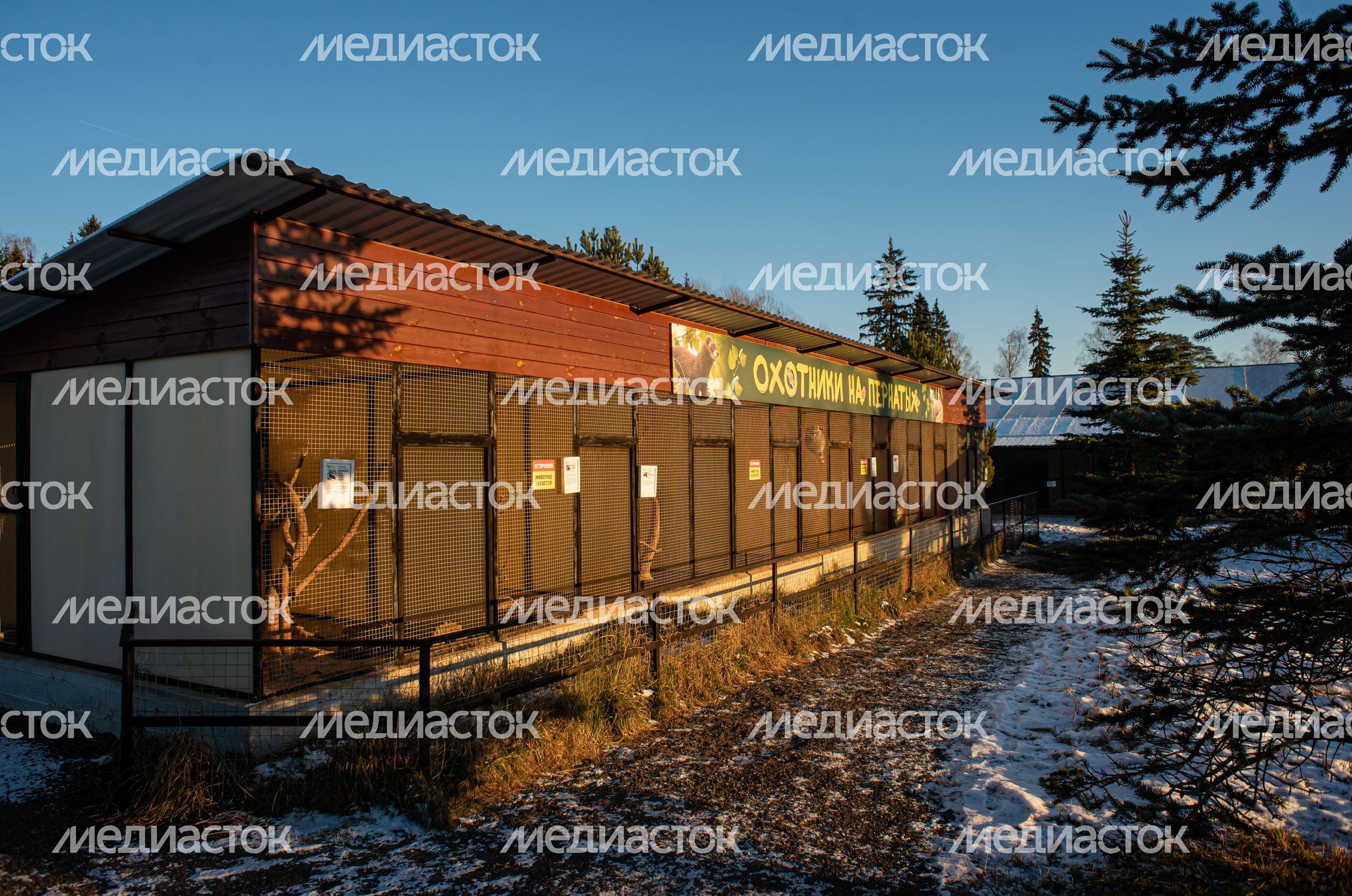 Зимний Парк Птиц «Воробьи»