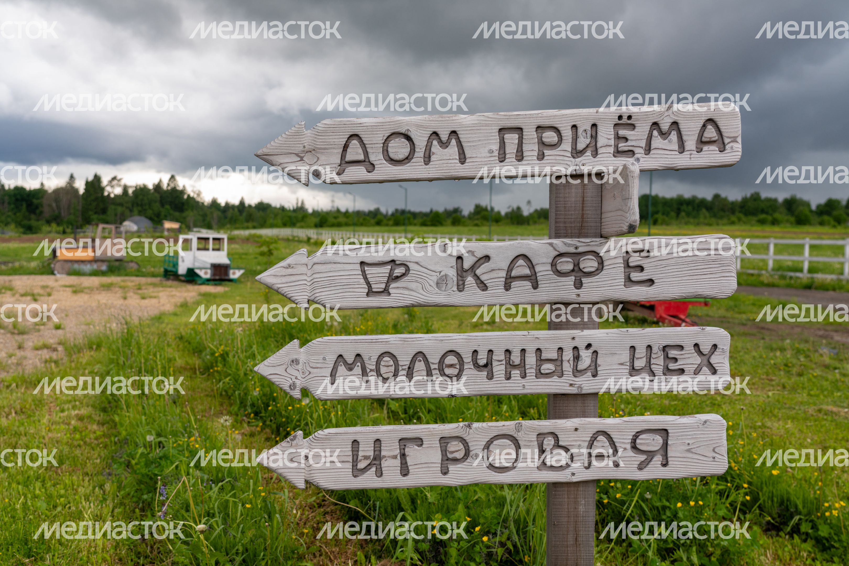 Поместье «Муза Рузы» - отдых в Подмосковье в гармонии с природой Поместье «Муза Рузы» - отдых в Подмосковье в гармонии с природой