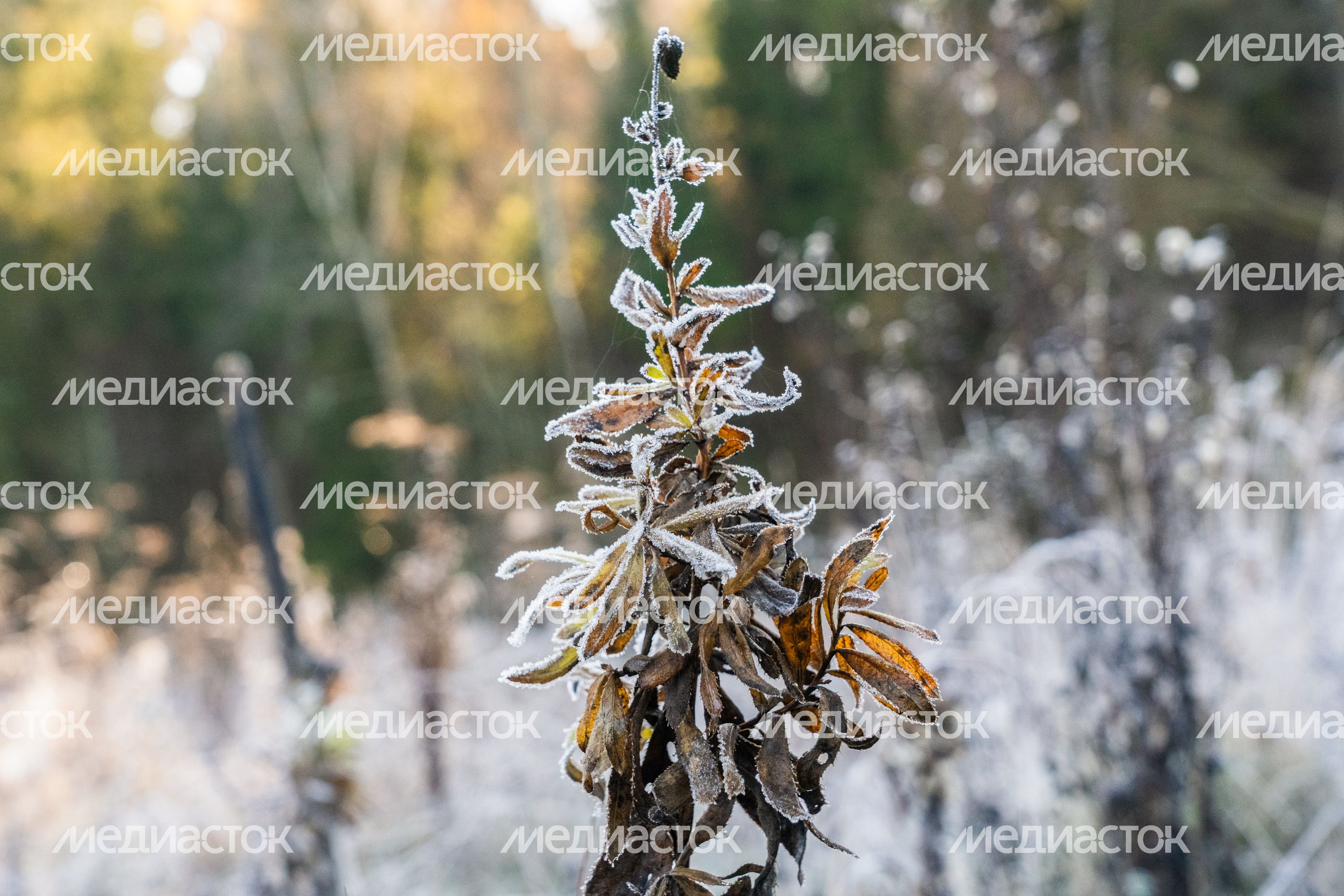 Заповедник «Семь ключей» осенью Заповедник «Семь ключей» осенью