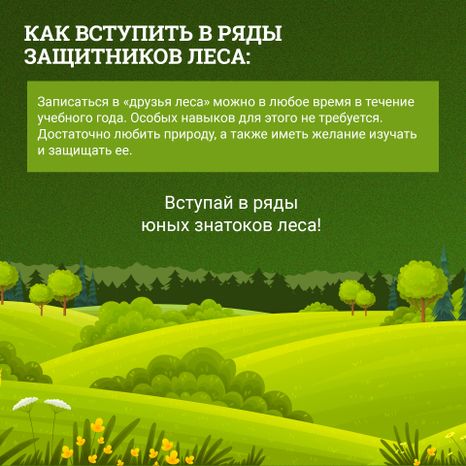 Школьные лесничества
