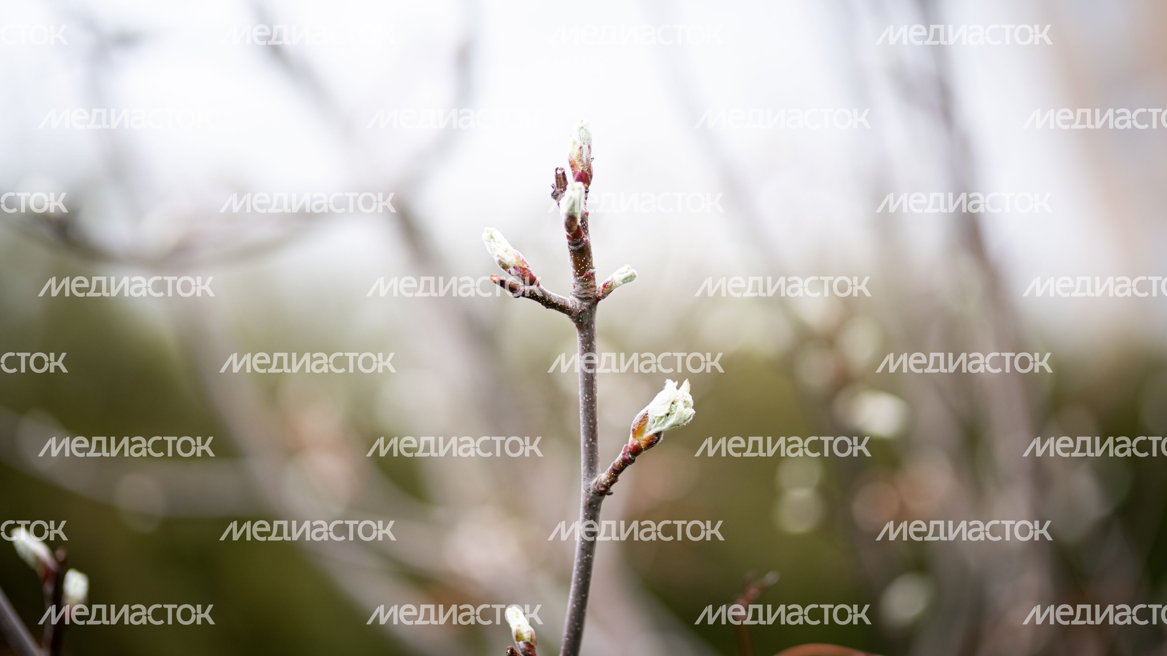 Весенние виды города Дмитров