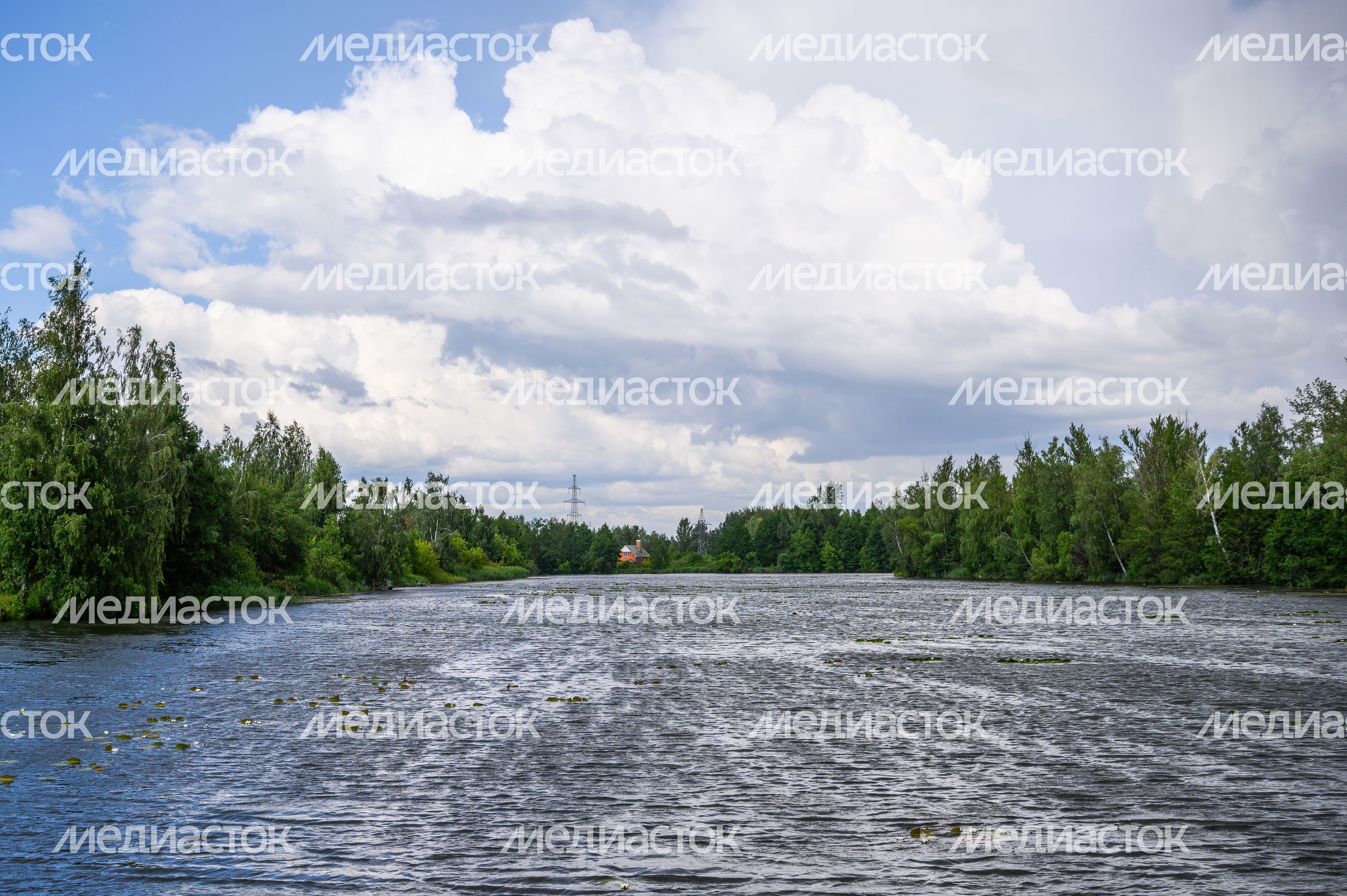 Скульптурная группа «Семья лосей» на улице Калинина города Электрогорск Скульптурная группа «Семья лосей» на улице Калинина города Электрогорск