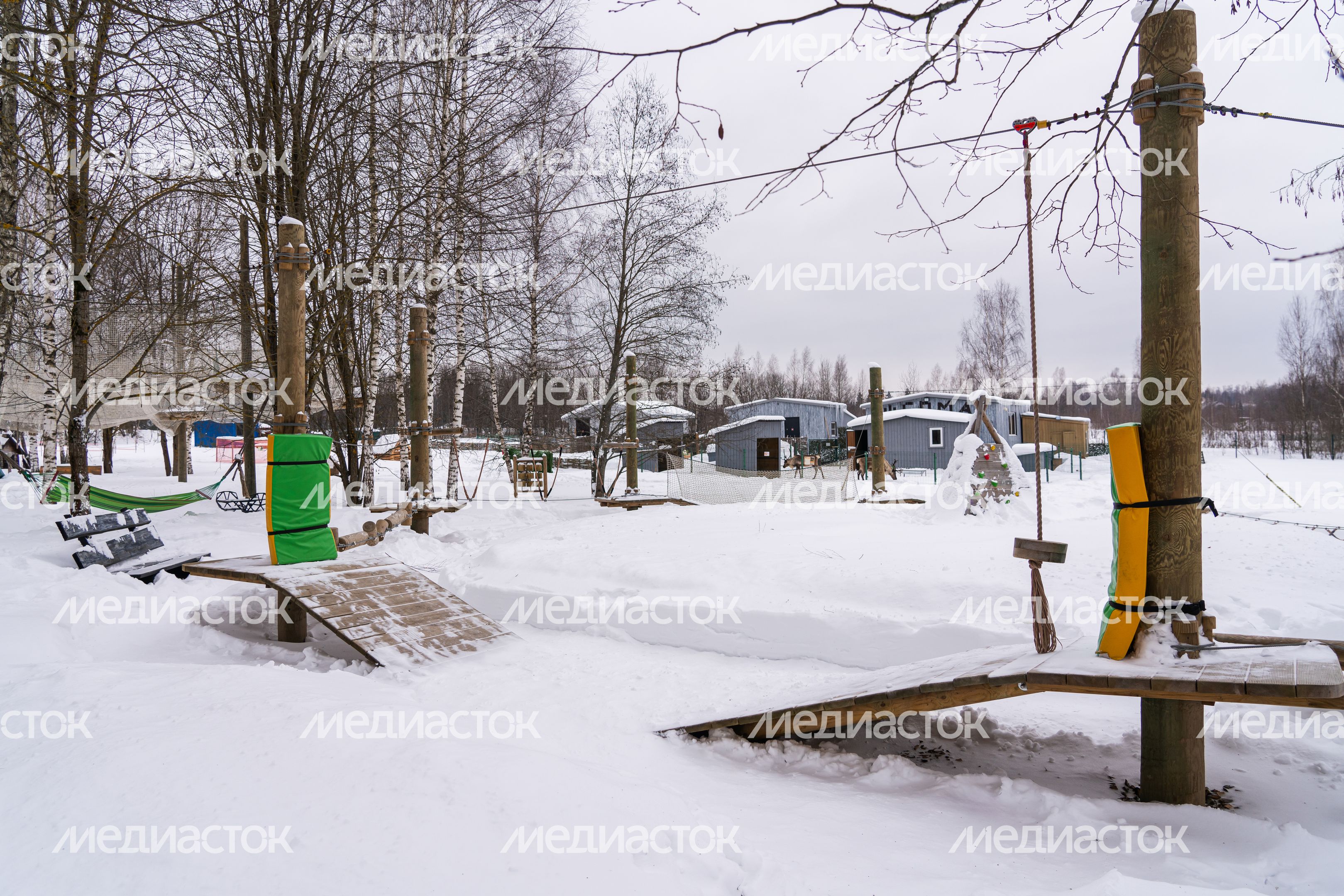 Интерактивная ферма "ЦЫПАрк" в Истре Интерактивная ферма "ЦЫПАрк" в Истре
