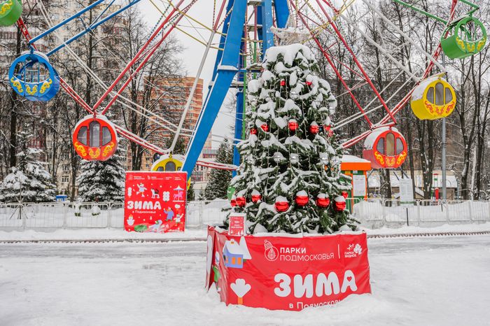 Зимний Центральный парк культуры и отдыха в Видном
