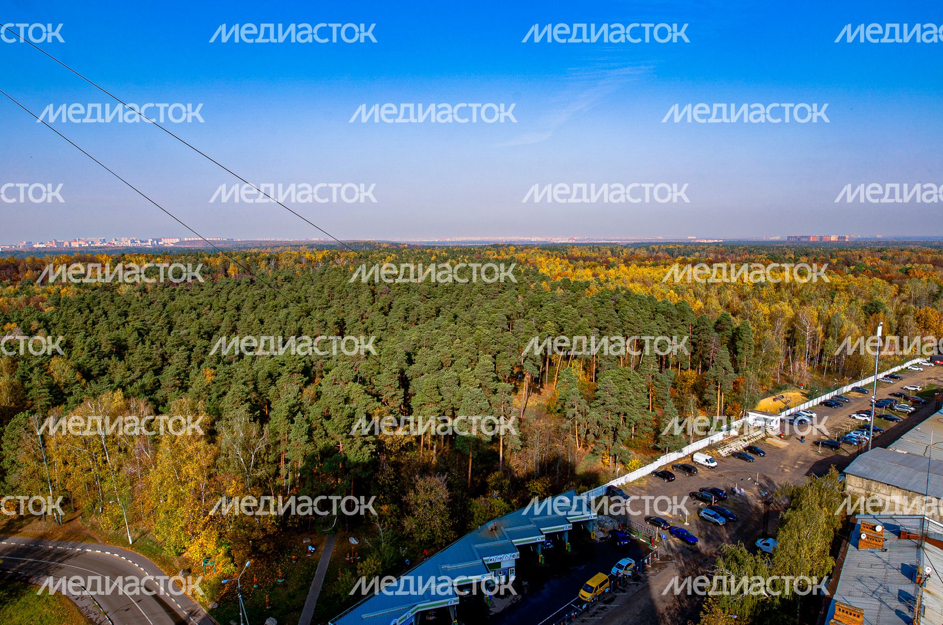 Осенние виды Томилинского лесопарка