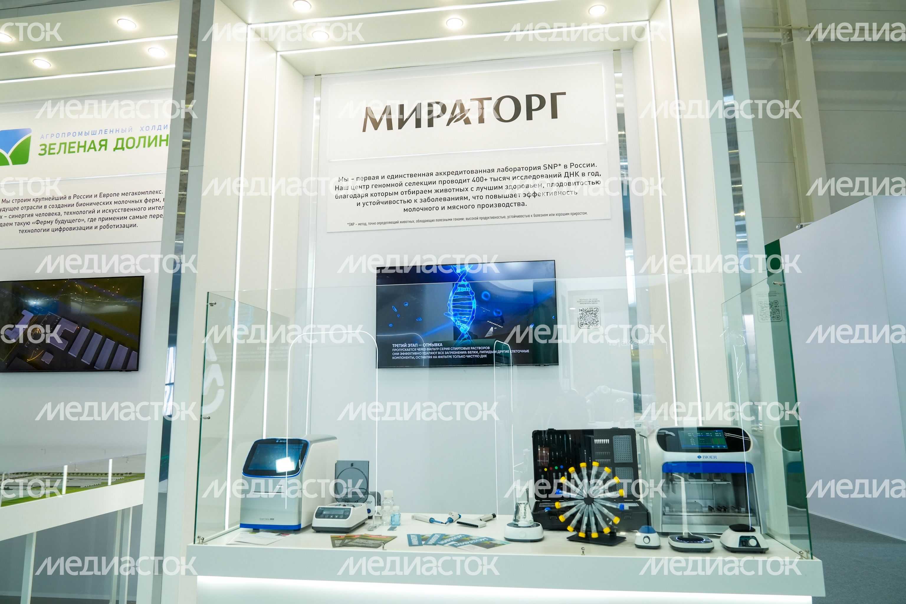Стенд Подмосковья на выставке "Золотая осень - 2025" Стенд Подмосковья на выставке "Золотая осень - 2025"