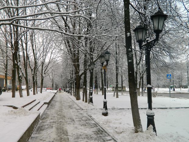 Снегопад в Долгопрудном
