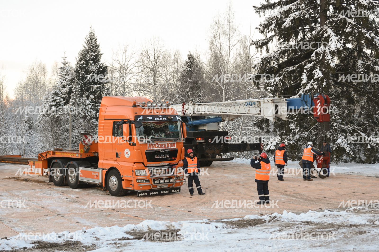 Сруб главной новогодней ели страны в Щелковском районе Подмосковья