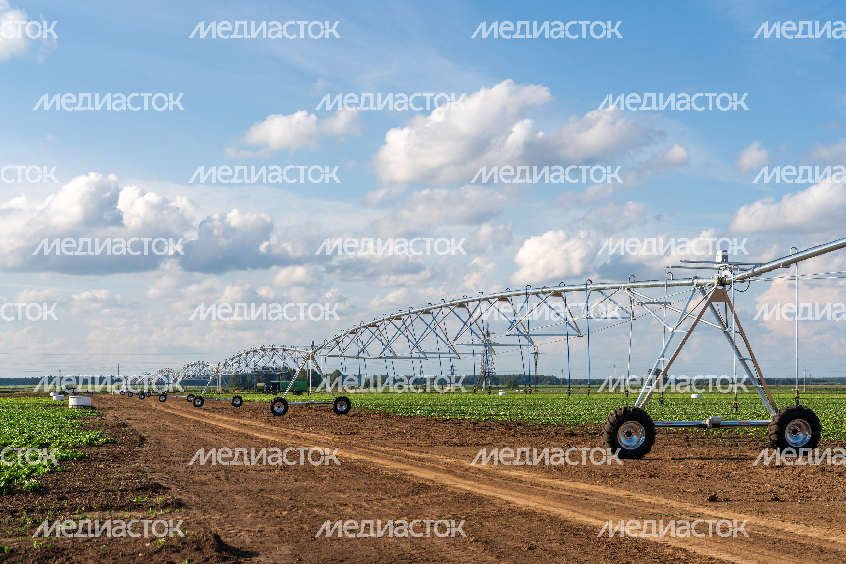 День поля Московской области 2026 в Дмитровском округе