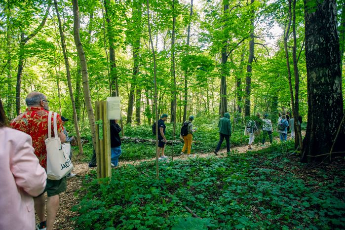 Прогулка по художественно-терапевтической тропе «Лес» в Горках Ленинских