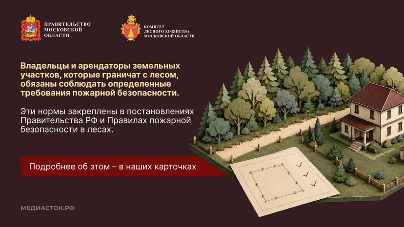 Живете рядом с лесом горизонталь 02