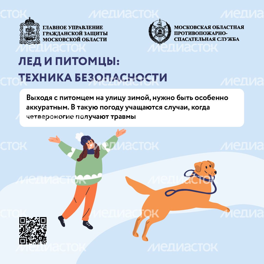 Помощь усатым - квадрат-03