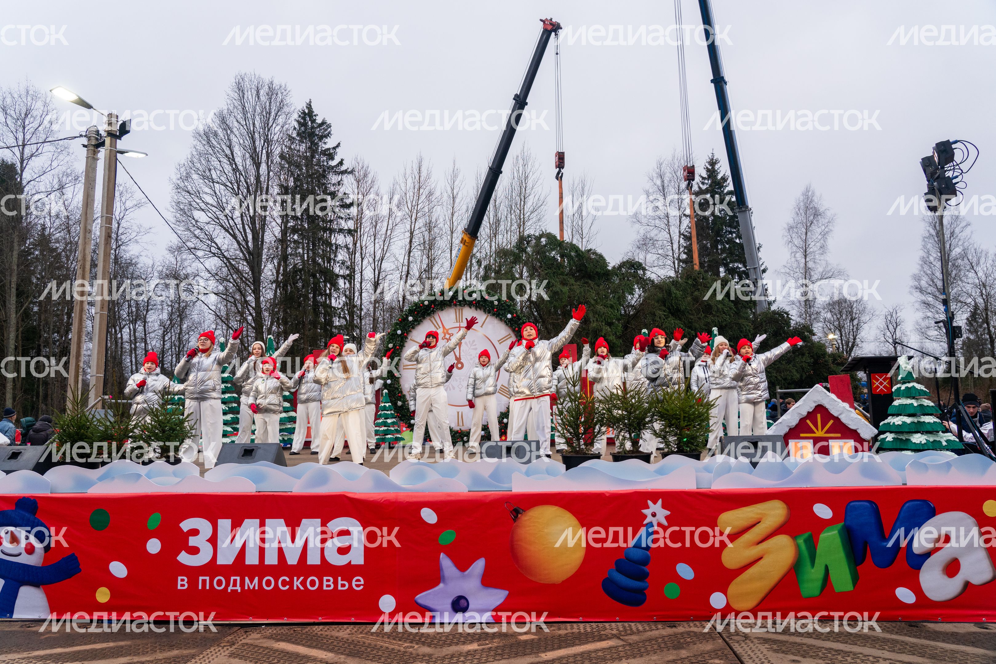 Главную новогоднюю елку страны спилили в Рузском округе Главную новогоднюю елку страны спилили в Рузском округе