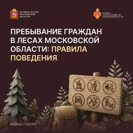 Пребывание граждан в лесах квадрат 01
