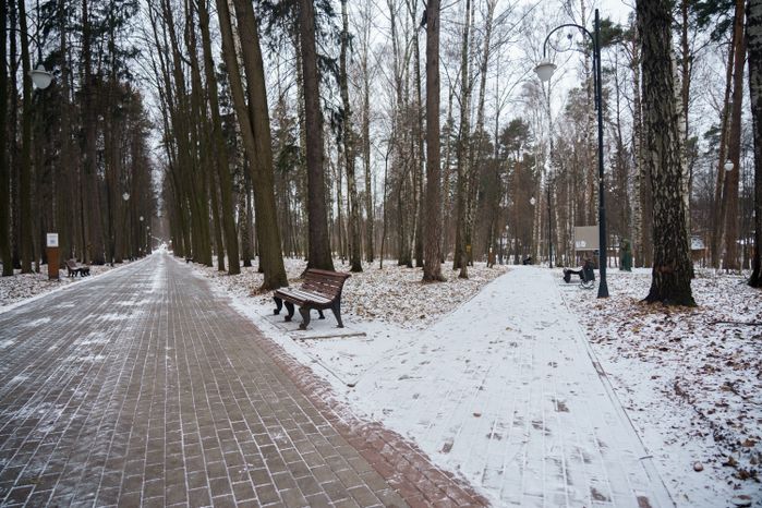 Люберцы. Томилинский лесопарк. Зима