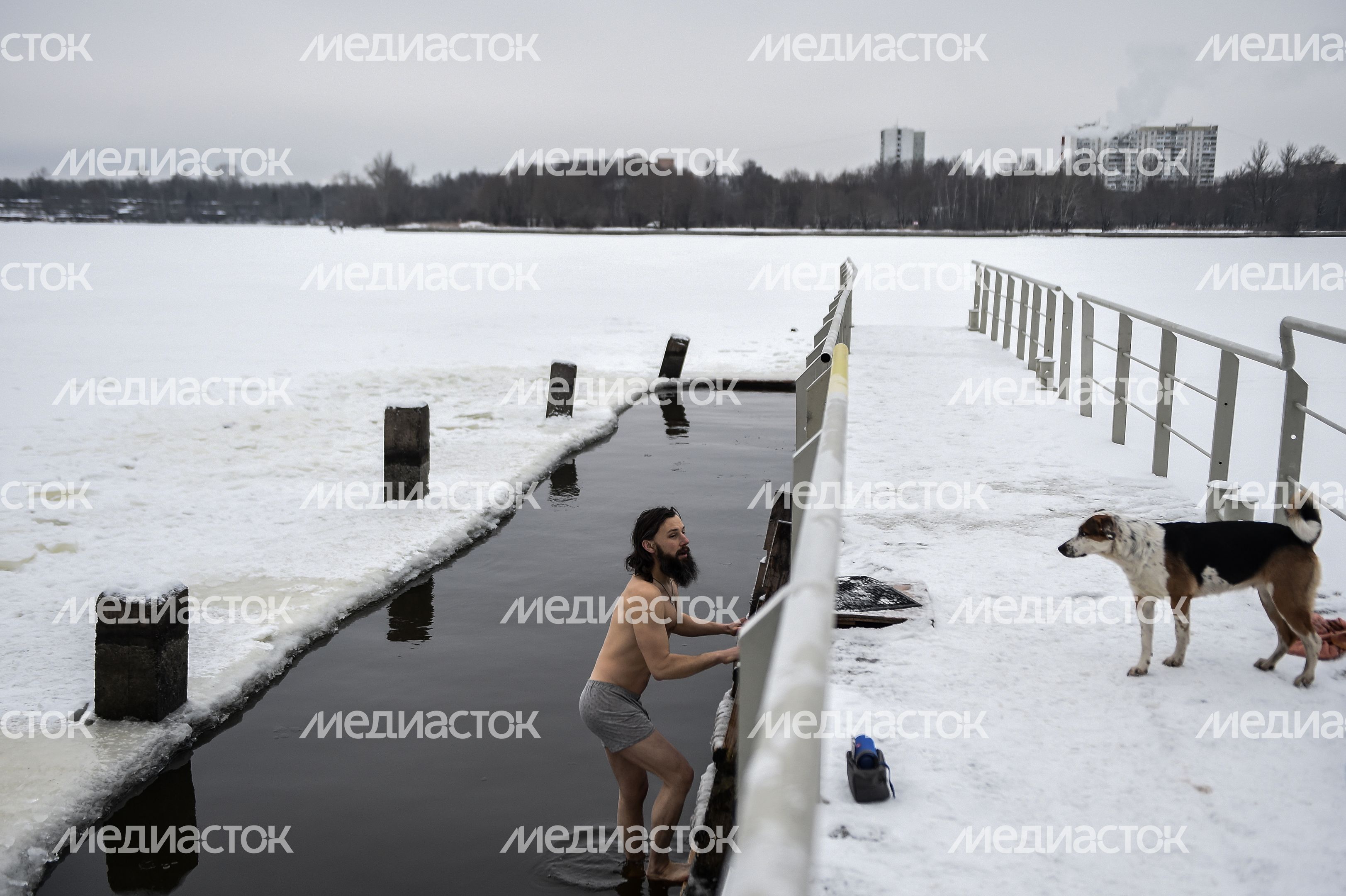 Купание моржей в Долгопрудном