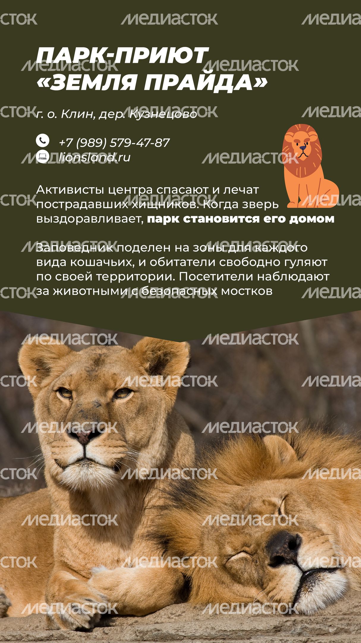 Фермы с животными-03.jpg