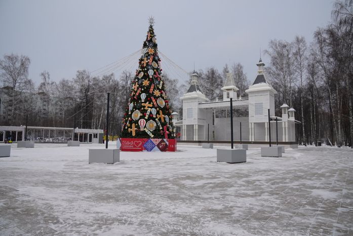 Проверка Губернатором Центрального парка культуры и отдыха в Пушкино