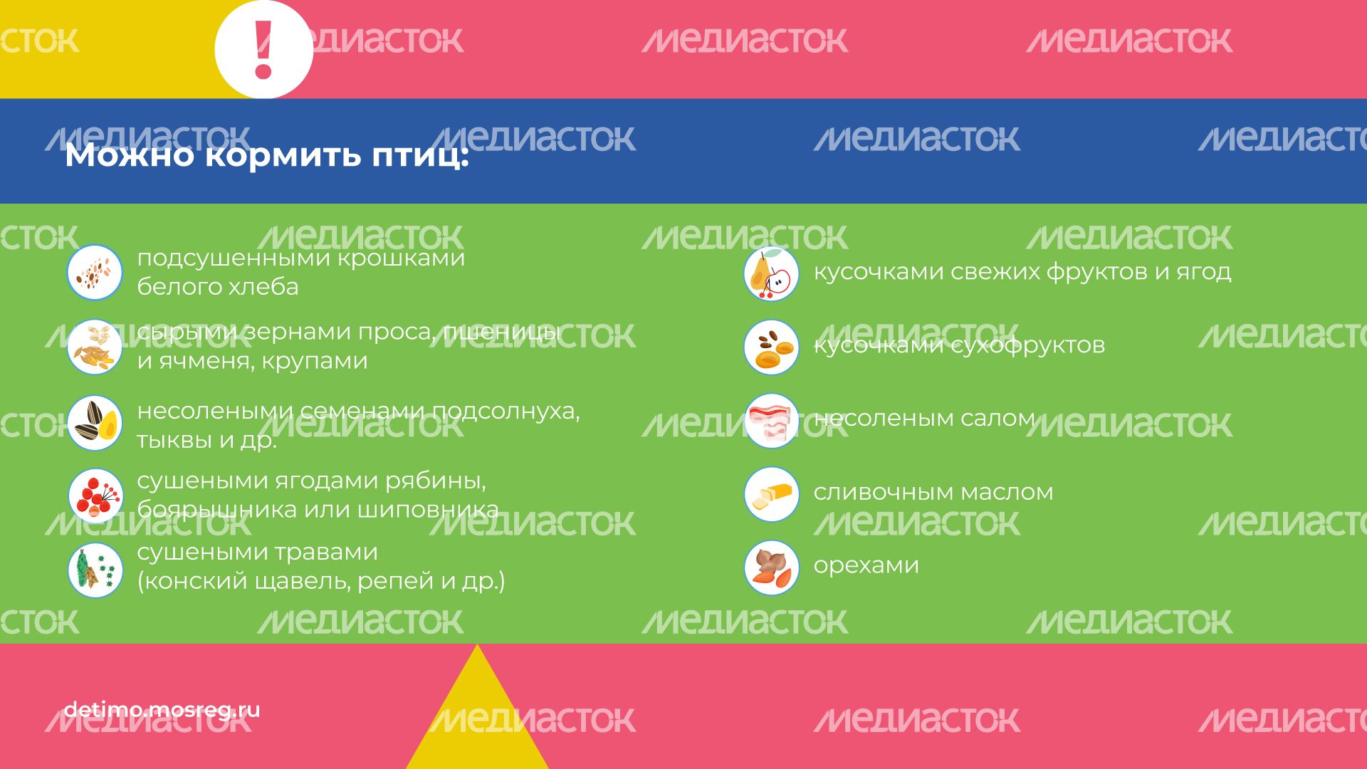 синичкин_день_горизонталь_04.jpg
