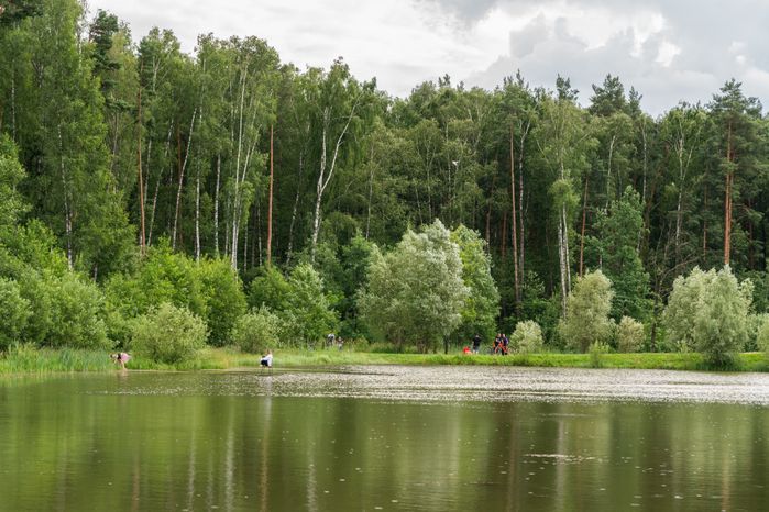 Мещерский парк летом