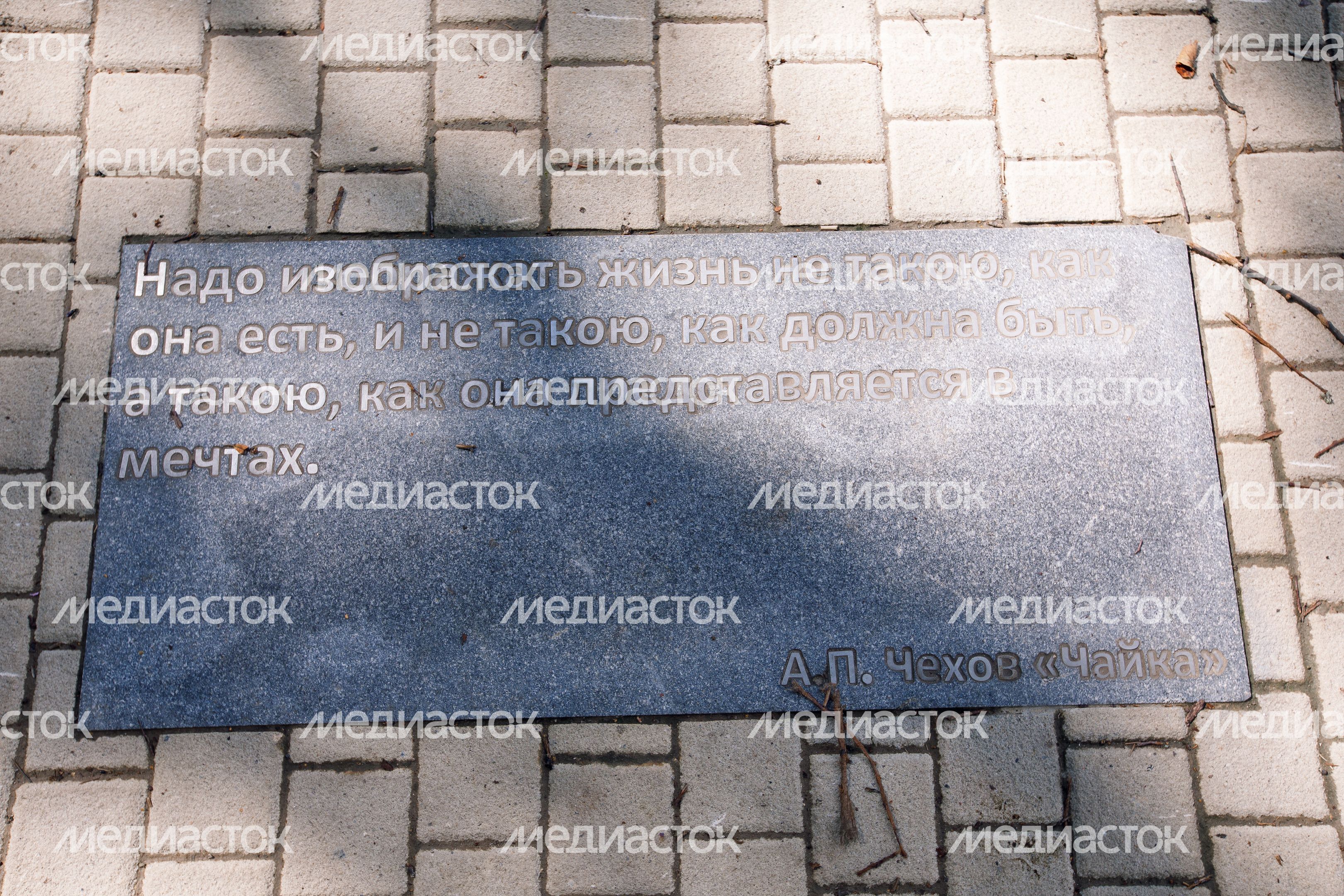 Звенигород. Липа Чехова