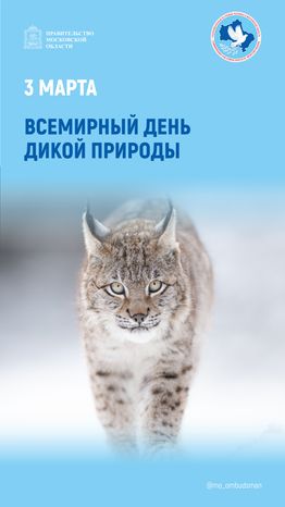 открытка-3 марта-вертикаль-01