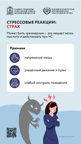 Стрессовые реакции страх вертикаль (1)