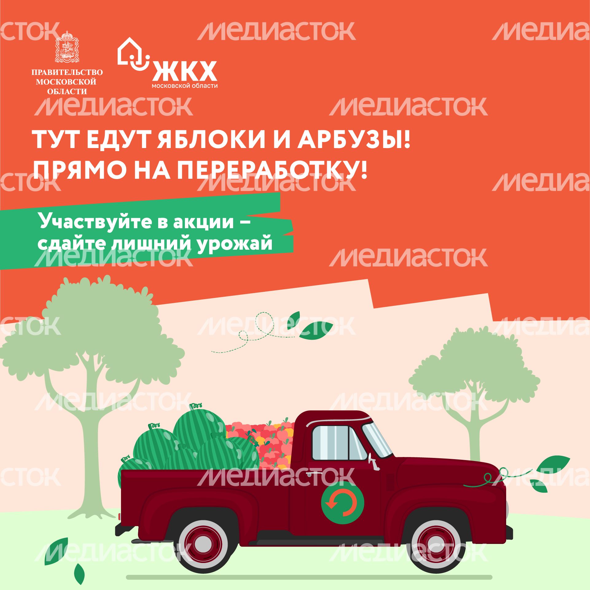 Квадрат_арбузы_01-100.jpg