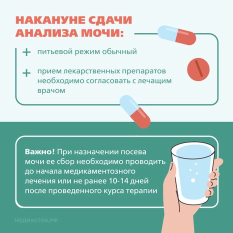 Подготовка к исследованию мочи Квадрат 04