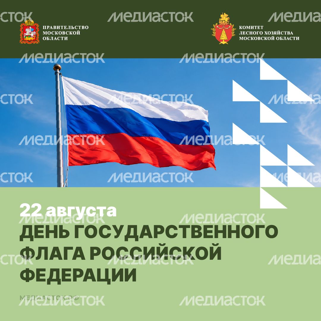 День Государственного флага Российской Федерации квадрат 01