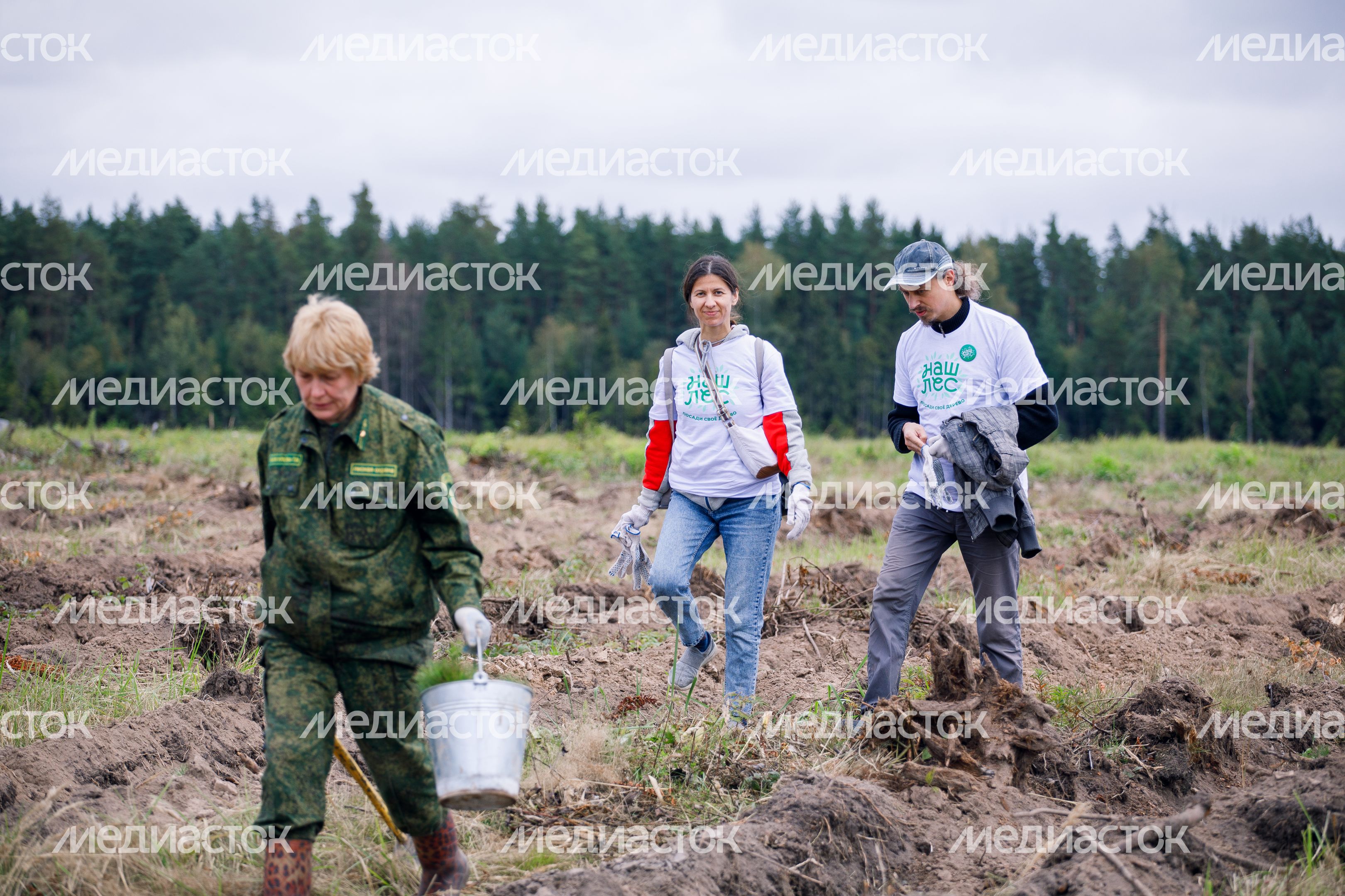 Богородский г.о. Наш лес. Посади свое дерево, сентябрь 2023 г. Богородский г.о. Наш лес. Посади свое дерево, сентябрь 2023 г.