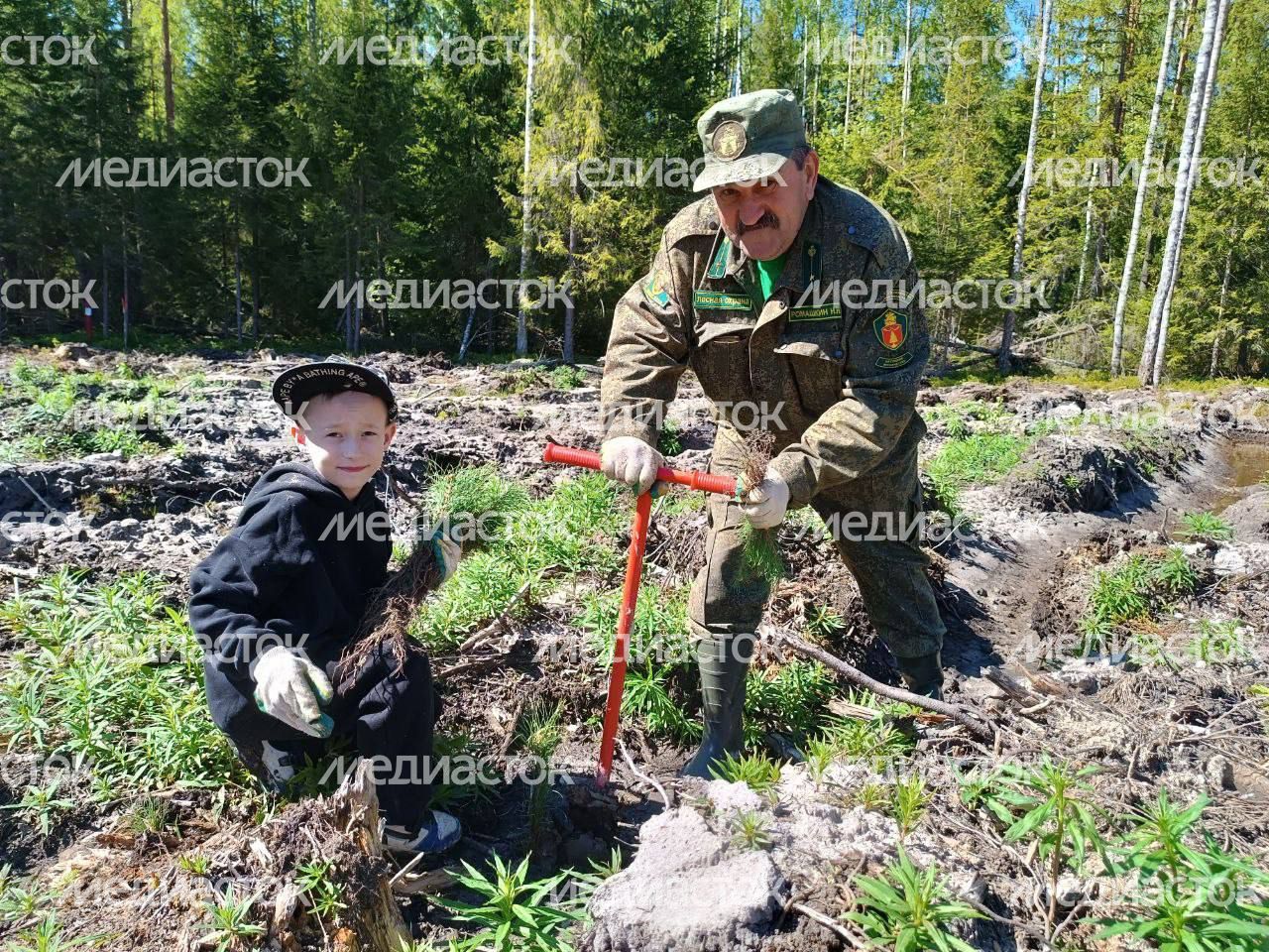 Настроение "Лес Будущего"-2024