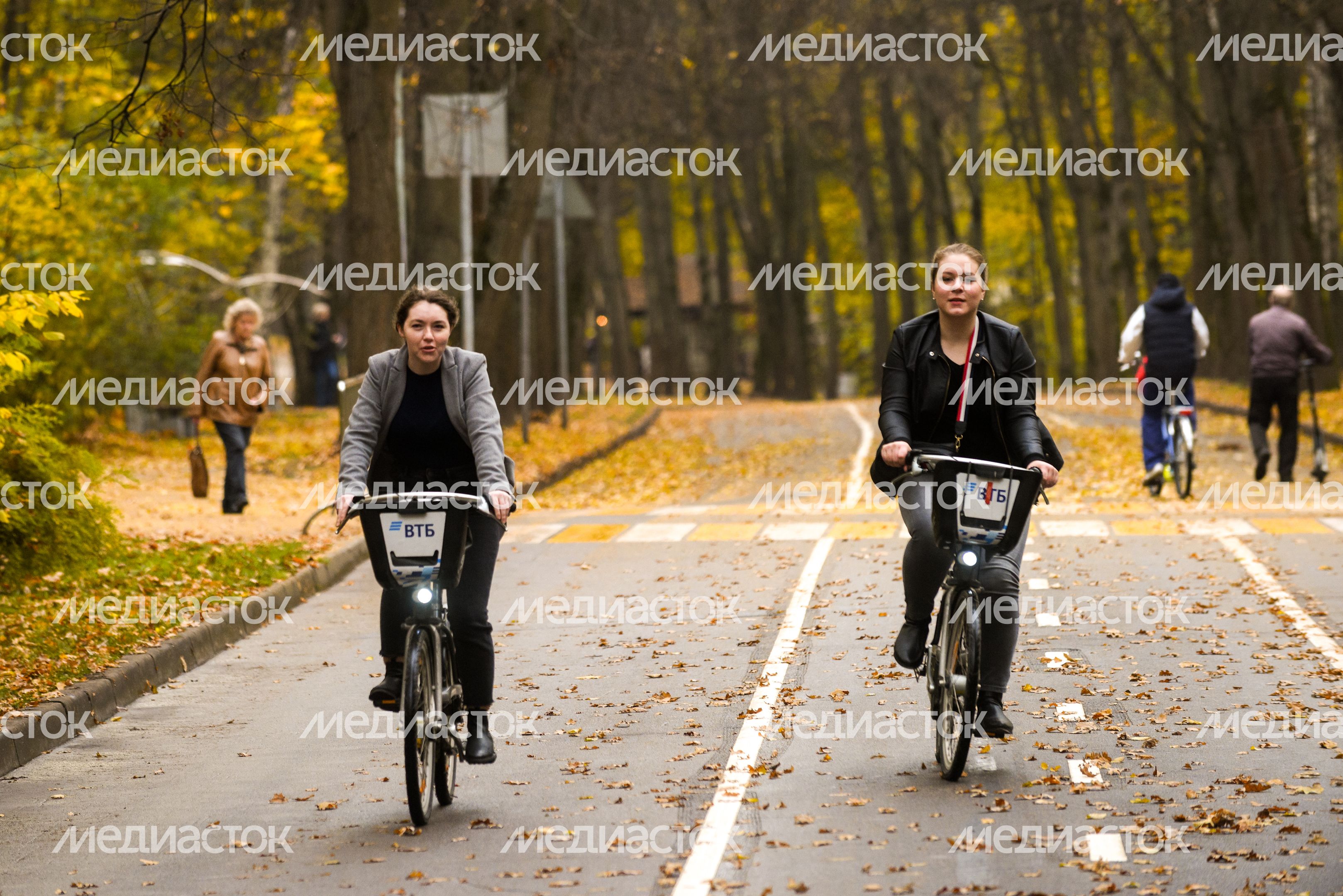 Золотая осень в парке «Сокольники»