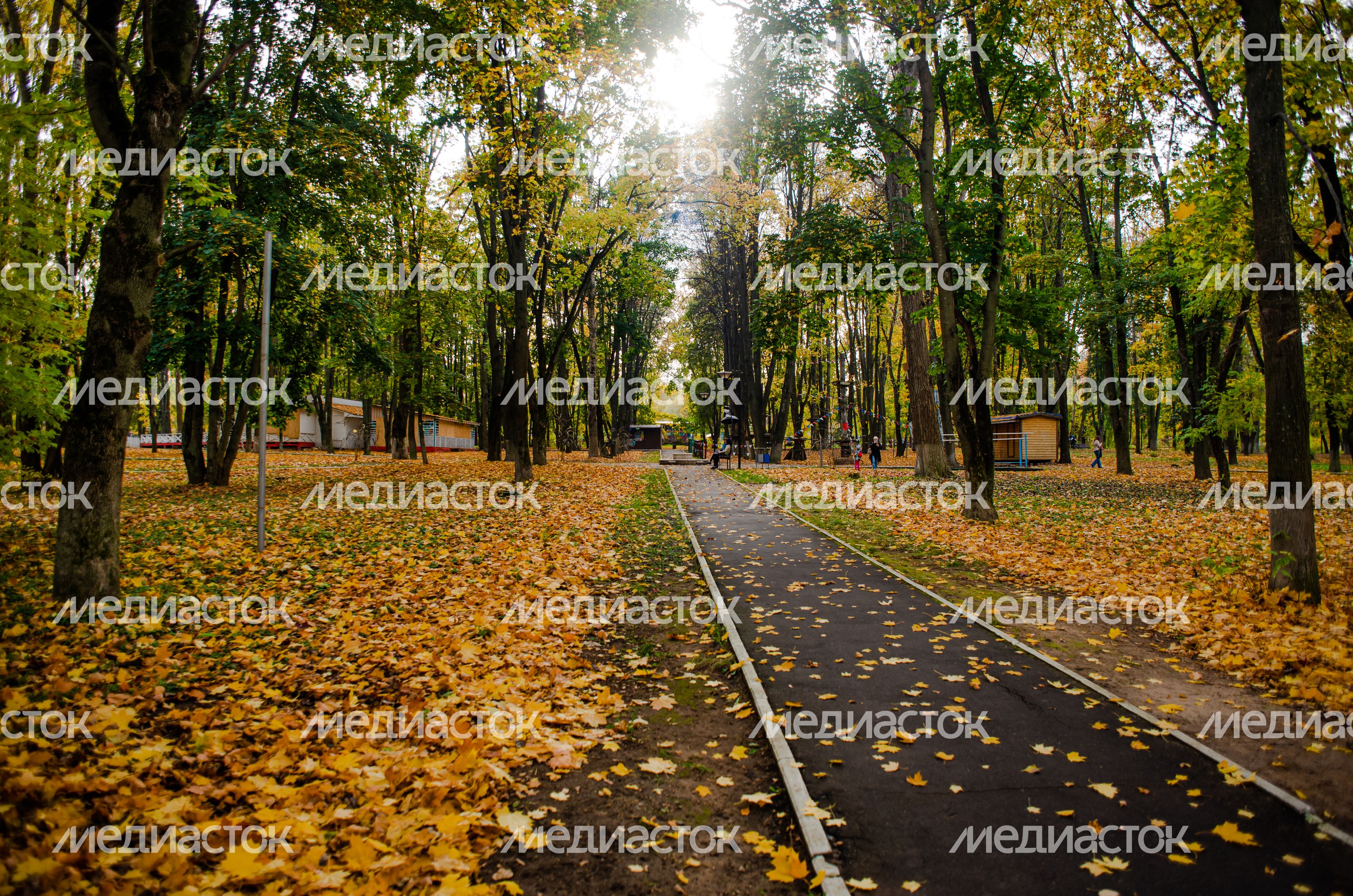 Осенние виды Городского парка в Щёлково