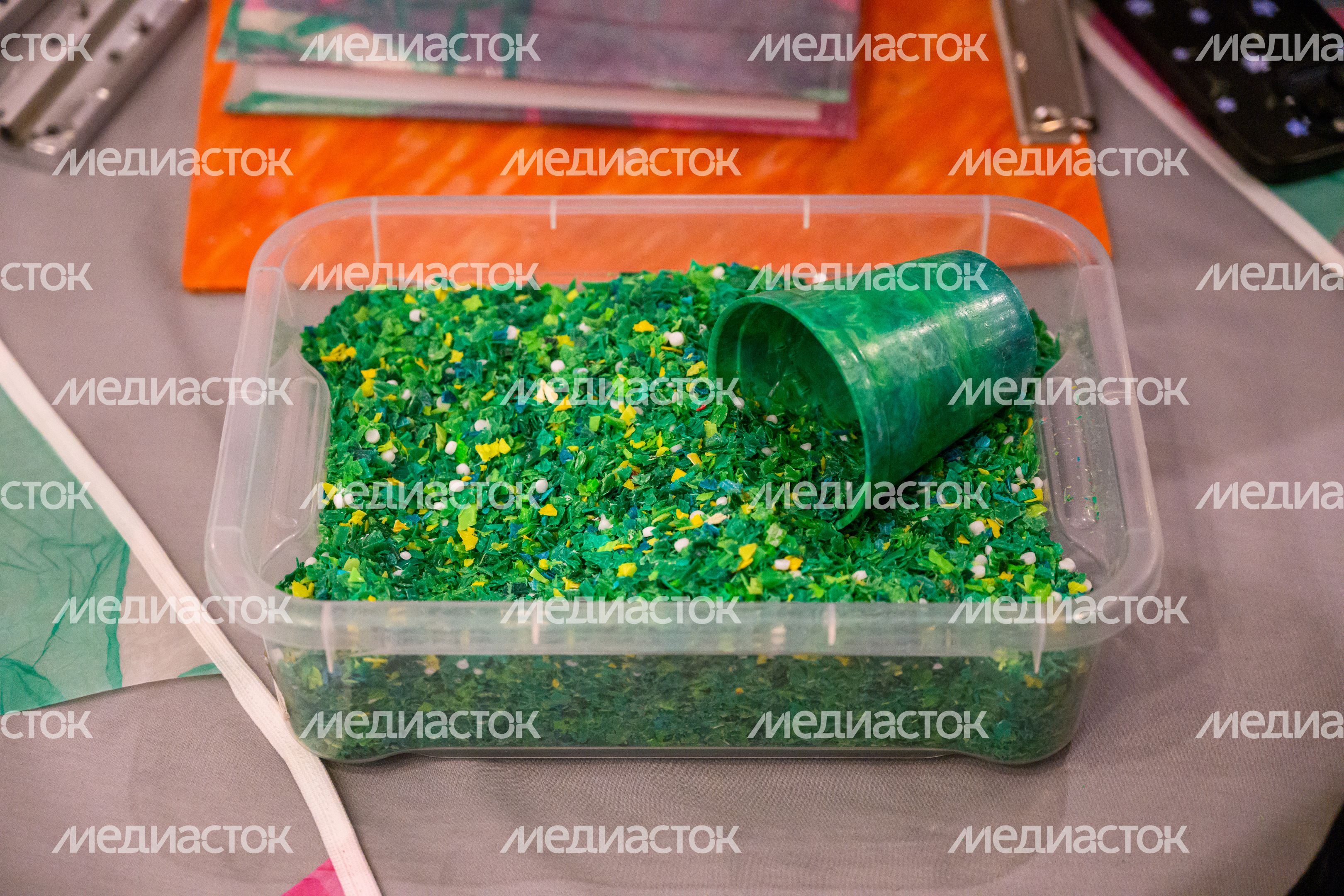 День вторичной переработки отметили в Долгопрудном