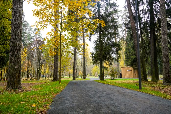 В Красноармейске после благоустройства открыт лесопарк "Банный лес"