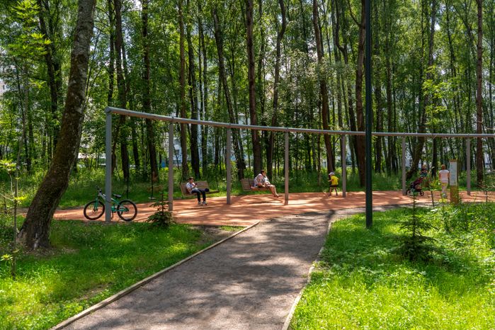 Губернский лесопарк в Чехове летом