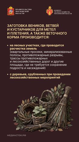 Недревесные ресурсы для собственных нужд Вертикаль 07