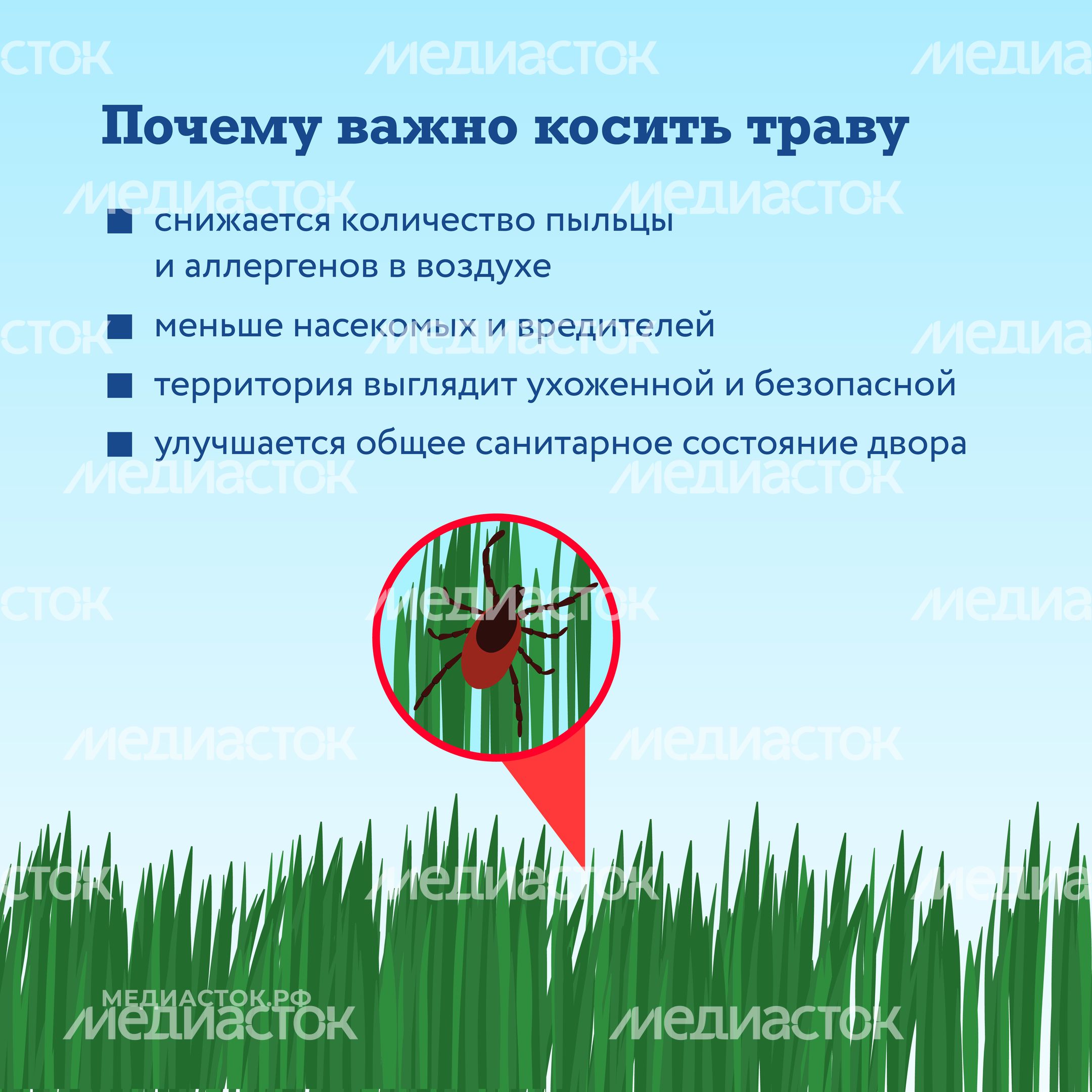 Как ухаживают за газонами квадрат 05 Как ухаживают за газонами квадрат 05