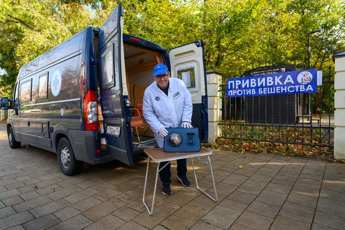 Выездная вакцинация животных в балашихинском парке "Пехорка"