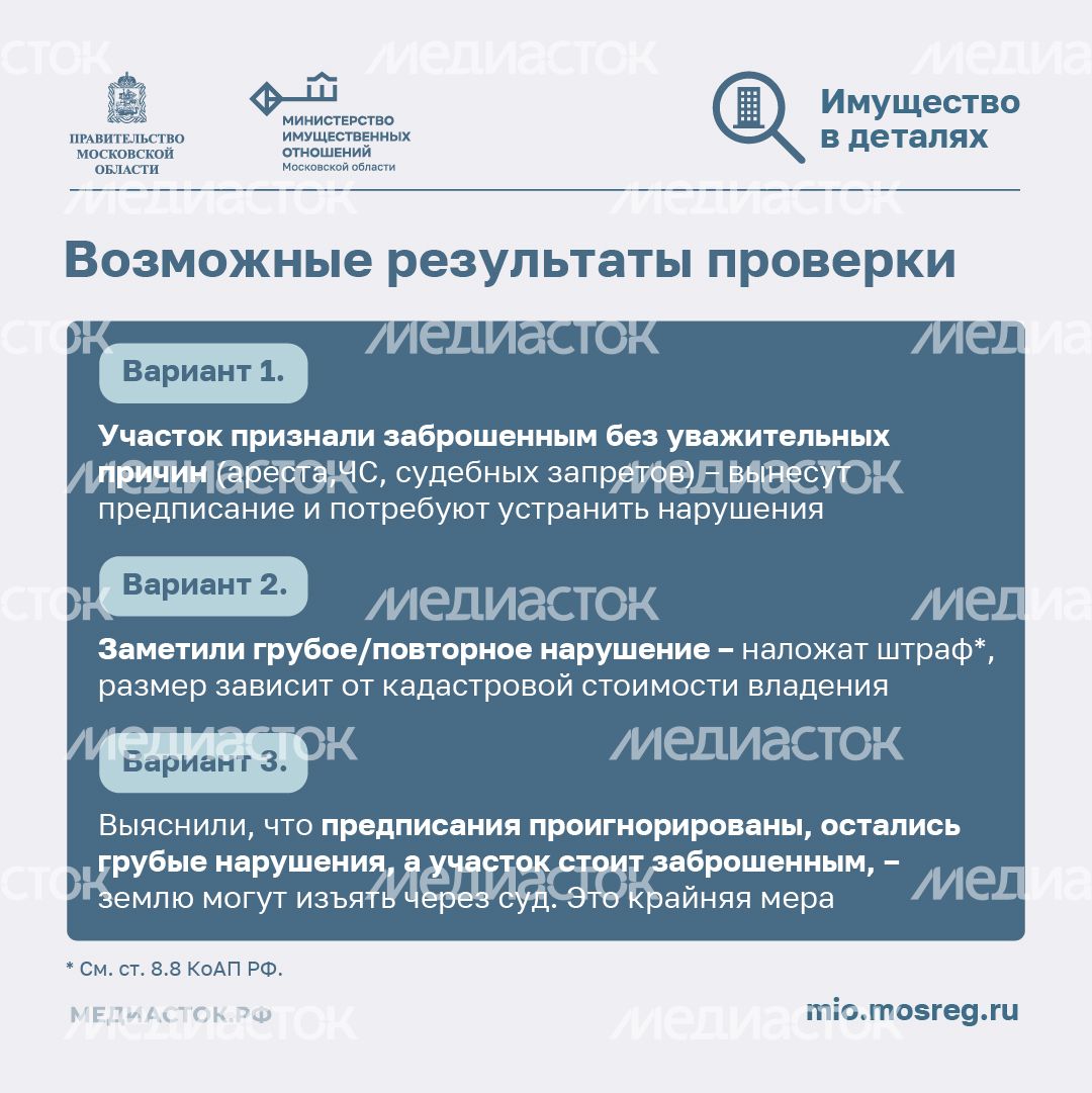 Освоение участка за 3 года квадрат 08 Освоение участка за 3 года квадрат 08